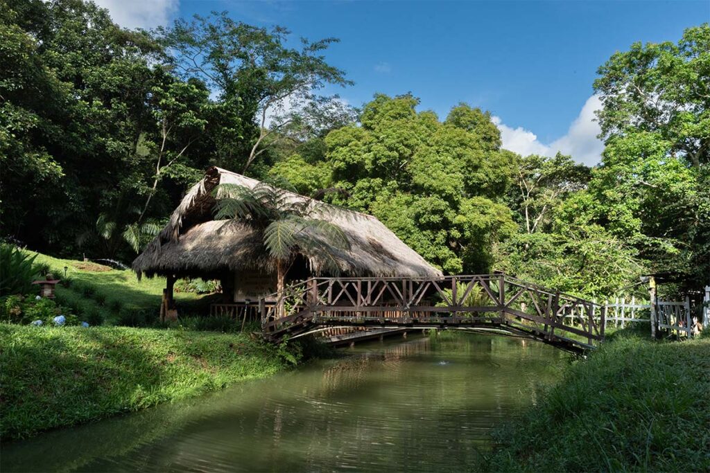 Posada Amazonía